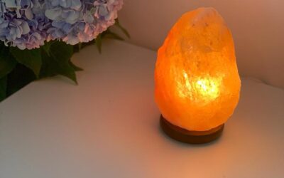 Relacionamentos Amorosos – VIDEO