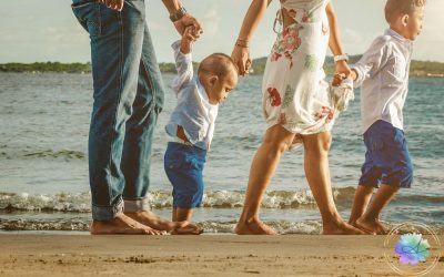 A Mediação Sistémica e as Ordens do AMOR