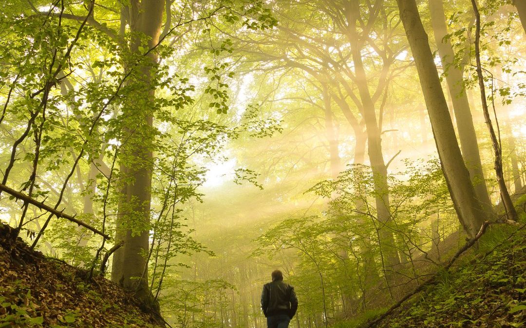 CAMINHAR EM SILÊNCIO: UM RITUAL PARA VOLTAR A TI